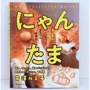 NEW Nyantama Cat Photo Book Testicles Male Cats Furry Balls Japanese Book